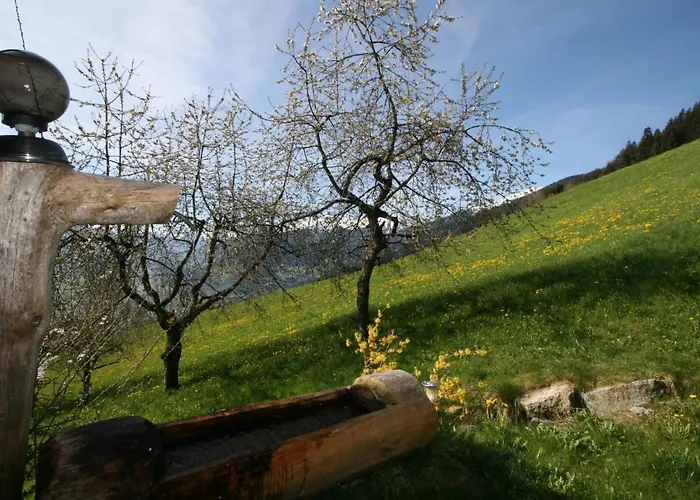 Apartment Tom By Interhome