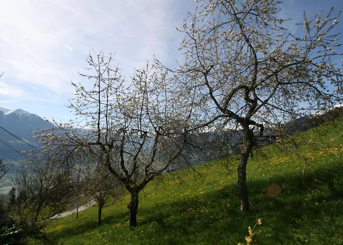 Tom By Interhome Apartment *