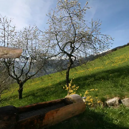 Appartement Tom By Interhome